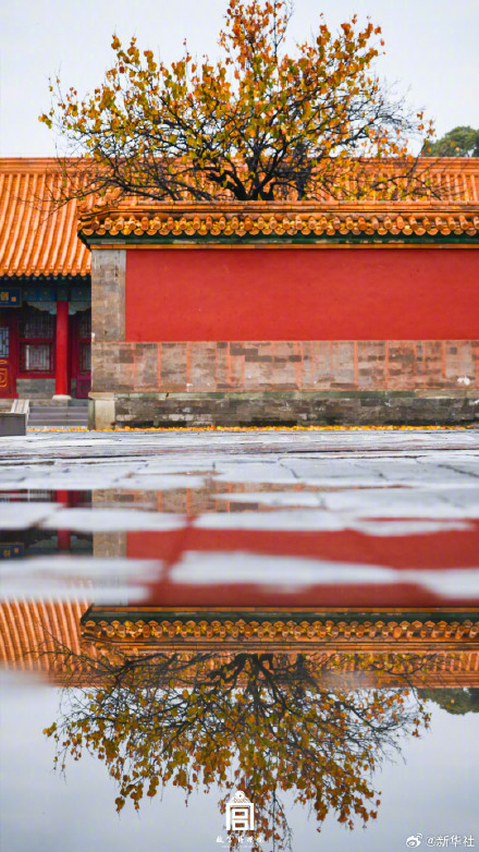 转存！初冬的故宫步步皆画