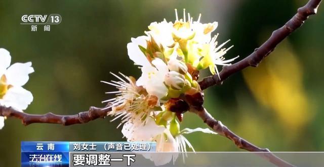 月薪8万元还附带“免费”整形？小心落入“美丽贷”骗局