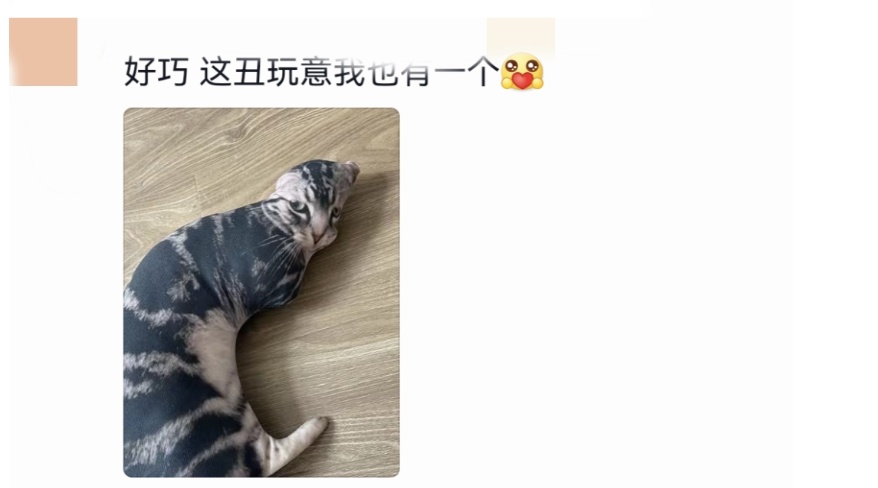 对方撤回了一条消息……“到底是什么!你快告诉我呀!” 对方撤回了一条消息……“到底是什么!你快告诉我呀!”