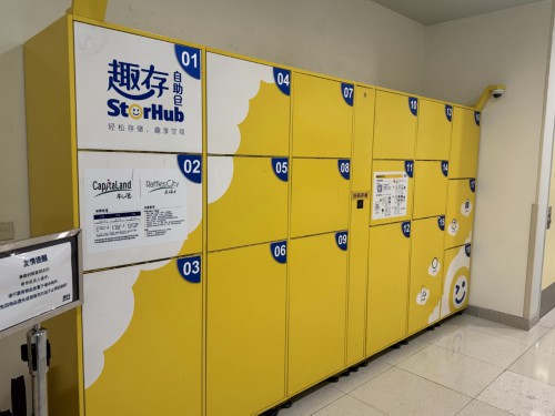 上海公共场所推出自助寄存柜,但为何有外籍游客会被“劝退”? 上海公共场所推出自助寄存柜,但为何有外籍游客会被“劝退”?