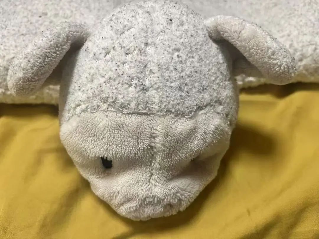 层层加码,收费过万!上海知名“玩偶医生”屡遭质疑,消保委发声 层层加码,收费过万!上海知名“玩偶医生”屡遭质疑,消保委发声