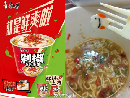 此鱼非彼鱼！康师傅鱼片汤面被嘲没有鱼，律师称康师傅鱼片汤面包装为虚假宣传