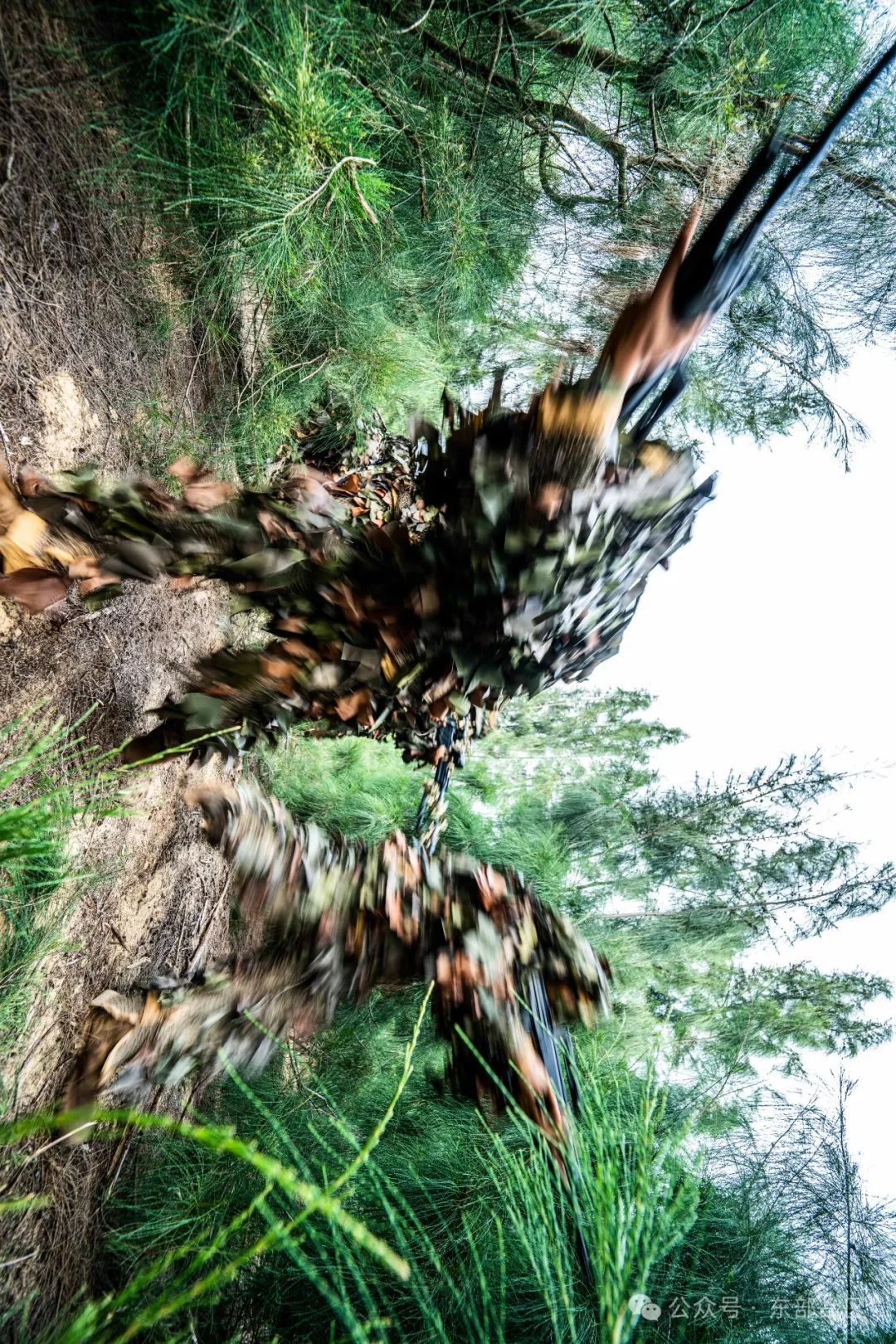 帅气大图！侦察兵高清壁纸来了