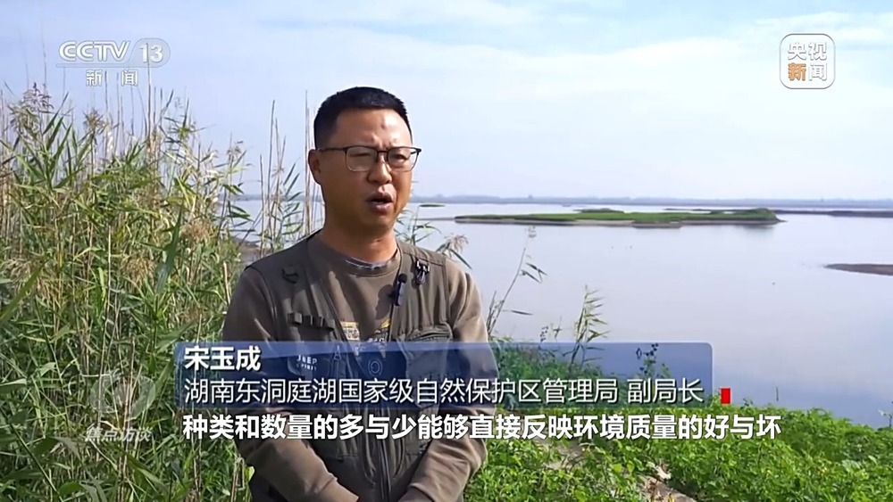 焦点访谈丨他曾为驱赶候鸟损失了三节指骨 如今为何加入了护飞队? 焦点访谈丨他曾为驱赶候鸟损失了三节指骨 如今为何加入了护飞队?