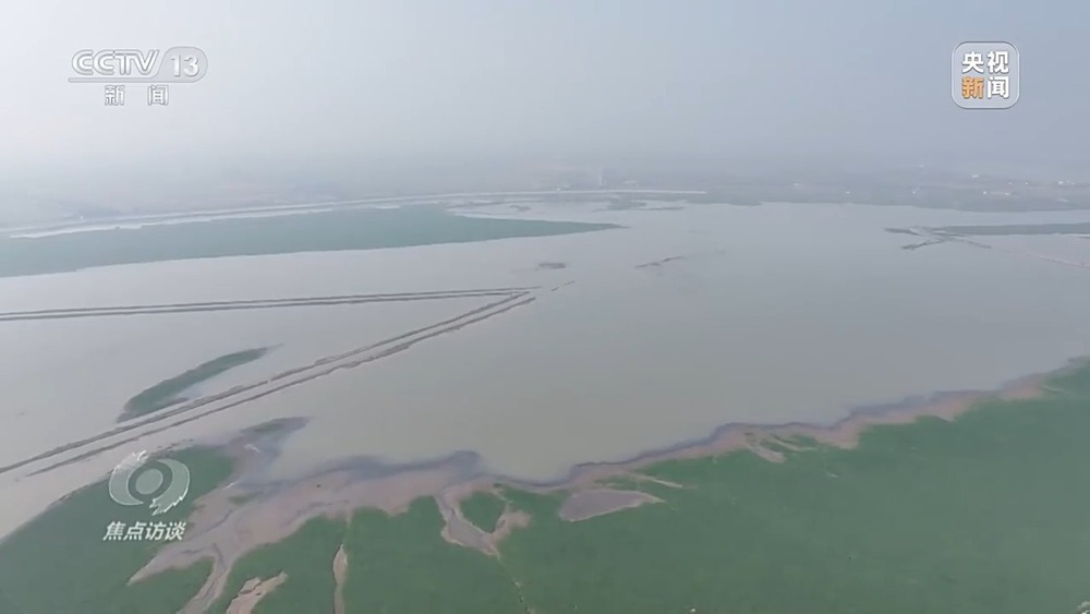 焦点访谈丨他曾为驱赶候鸟损失了三节指骨 如今为何加入了护飞队? 焦点访谈丨他曾为驱赶候鸟损失了三节指骨 如今为何加入了护飞队?