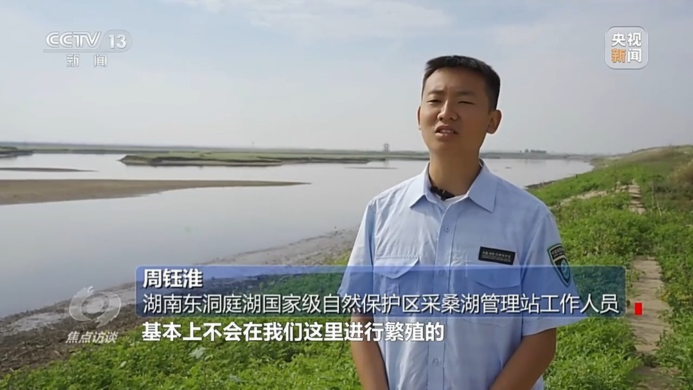 焦点访谈丨他曾为驱赶候鸟损失了三节指骨 如今为何加入了护飞队? 焦点访谈丨他曾为驱赶候鸟损失了三节指骨 如今为何加入了护飞队?