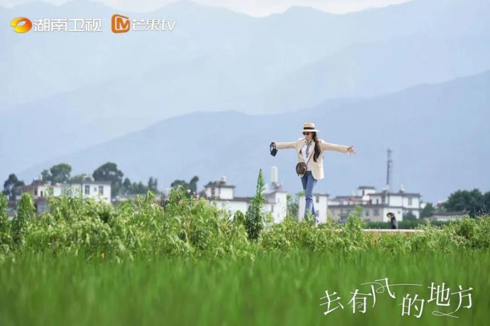 刘亦菲，又获奖了！
