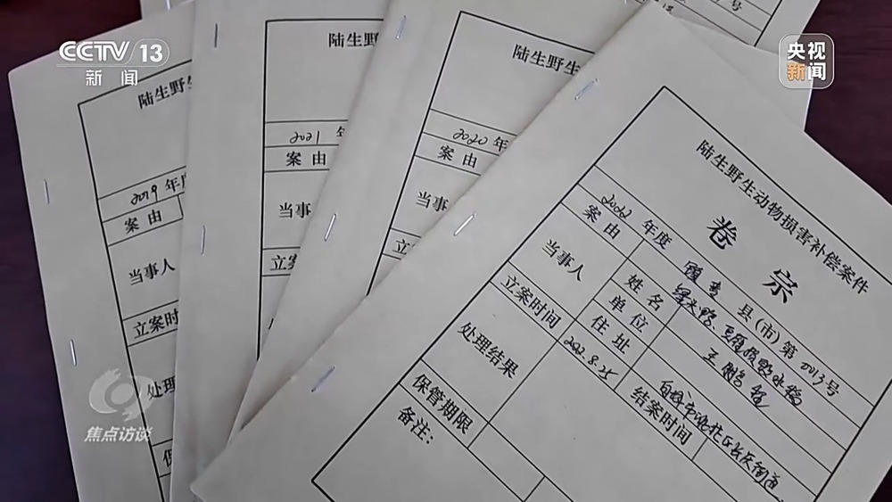 焦点访谈丨他曾为驱赶候鸟损失了三节指骨 如今为何加入了护飞队? 焦点访谈丨他曾为驱赶候鸟损失了三节指骨 如今为何加入了护飞队?