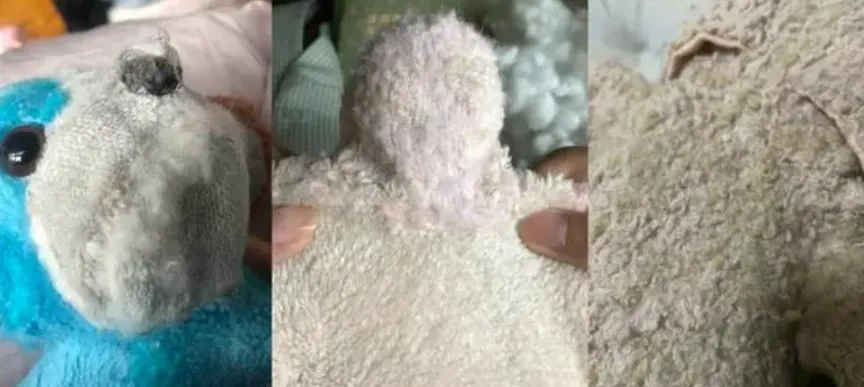 层层加码,收费过万!上海知名“玩偶医生”屡遭质疑,消保委发声 层层加码,收费过万!上海知名“玩偶医生”屡遭质疑,消保委发声