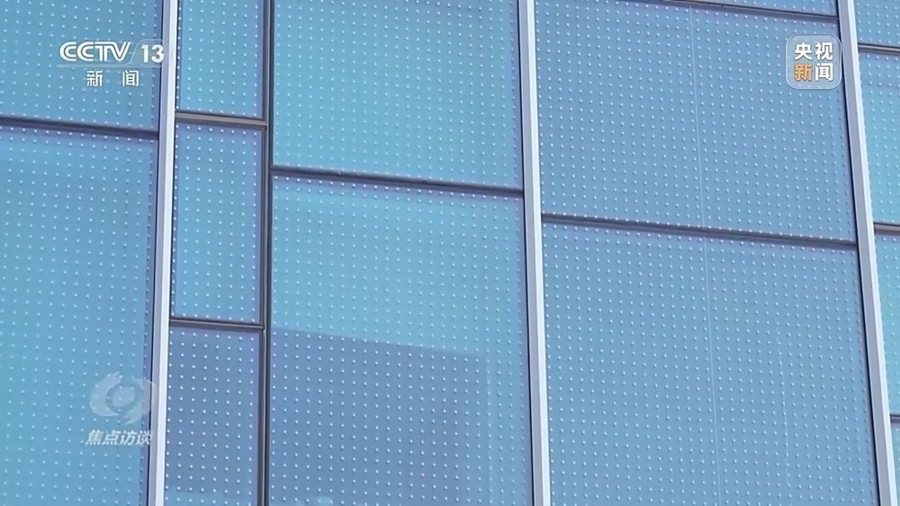 焦点访谈丨他曾为驱赶候鸟损失了三节指骨 如今为何加入了护飞队? 焦点访谈丨他曾为驱赶候鸟损失了三节指骨 如今为何加入了护飞队?