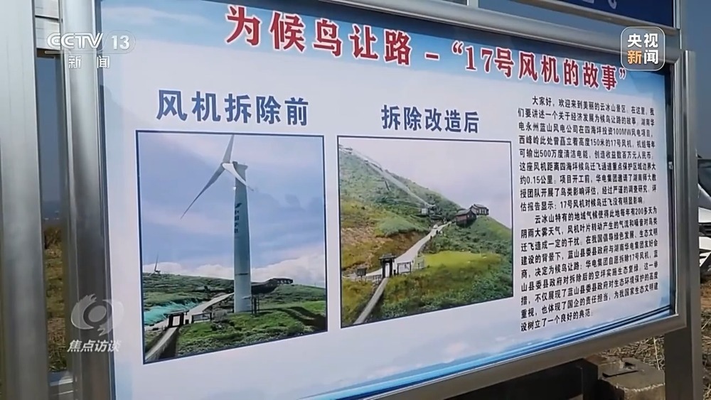 焦点访谈丨他曾为驱赶候鸟损失了三节指骨 如今为何加入了护飞队? 焦点访谈丨他曾为驱赶候鸟损失了三节指骨 如今为何加入了护飞队?