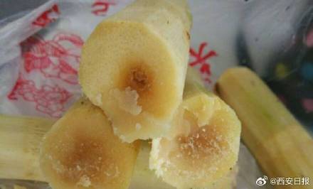 吃到肉质变红的甘蔗最好马上吐掉 吃到肉质变红的甘蔗最好马上吐掉