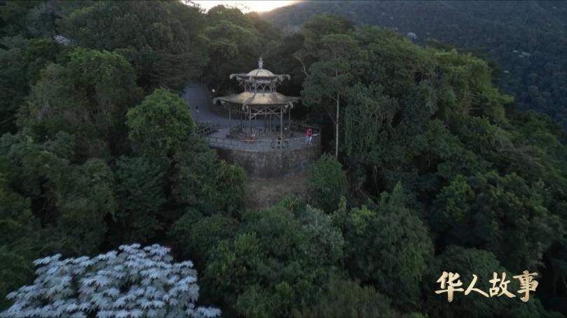 200多年前,中国和巴西因为茶结下友谊 200多年前,中国和巴西因为茶结下友谊