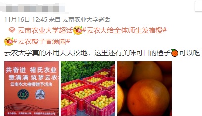 吃不完!根本吃不完!云南一高校给全体师生免费发褚橙!网友:羡慕的话已经说累了 吃不完!根本吃不完!云南一高校给全体师生免费发褚橙!网友:羡慕的话已经说累了