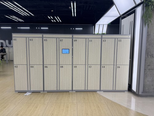 上海公共场所推出自助寄存柜,但为何有外籍游客会被“劝退”? 上海公共场所推出自助寄存柜,但为何有外籍游客会被“劝退”?