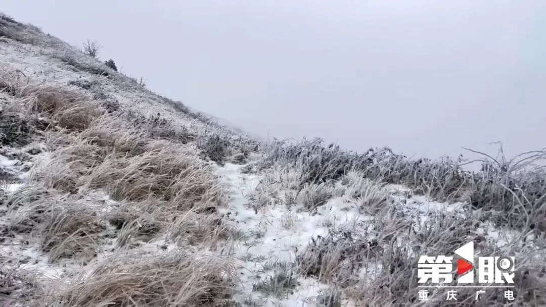 骤降至0℃!重庆又下雪了 骤降至0℃!重庆又下雪了