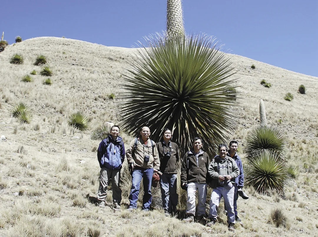 从几百份到6300份标本！中秘两国跨越万里携手保护生物多样性