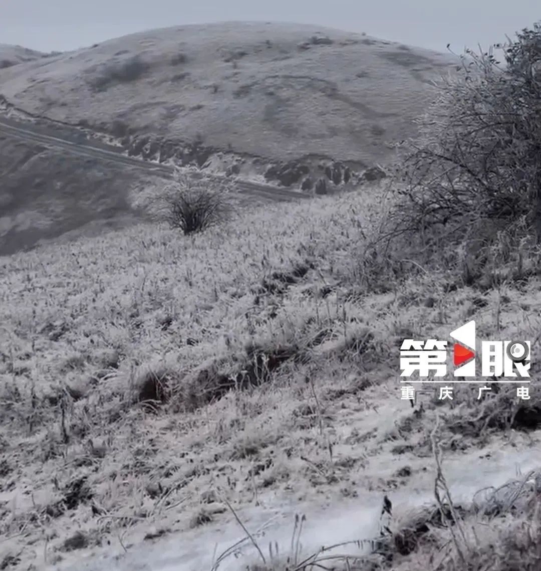 骤降至0℃!重庆又下雪了 骤降至0℃!重庆又下雪了