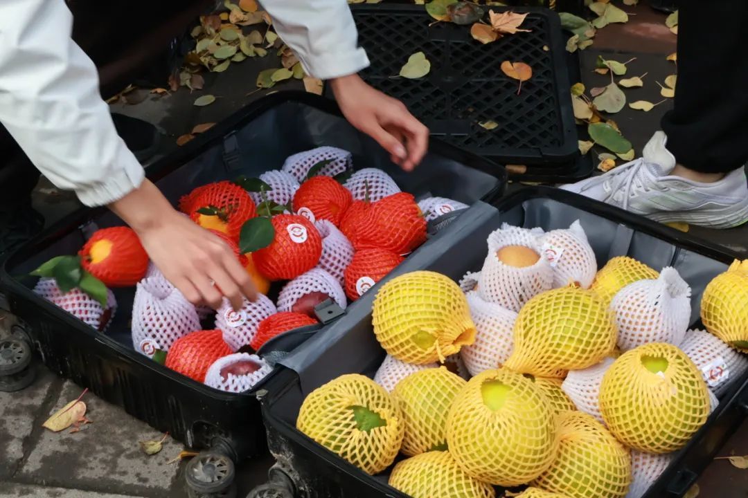 吃不完，根本吃不完！网友：俺也想要