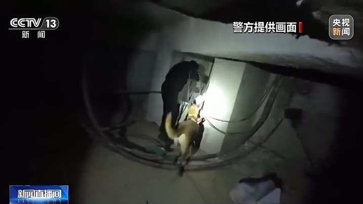 老人走失20多小时成功找回 “汪汪队”立大功! 老人走失20多小时成功找回 “汪汪队”立大功!