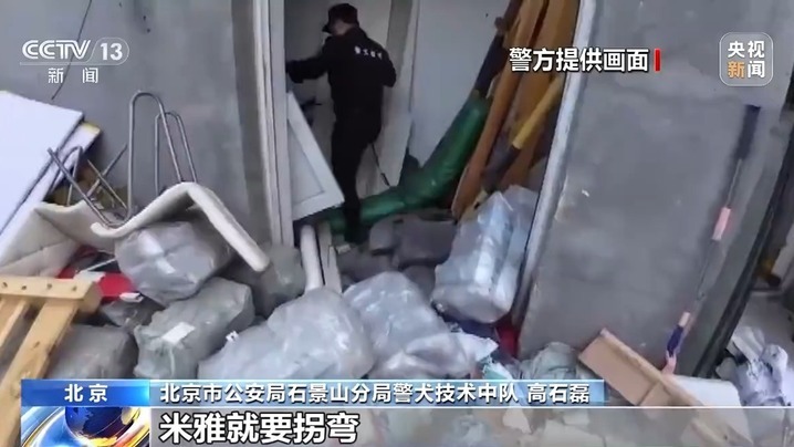 老人走失20多小时成功找回 “汪汪队”立大功! 老人走失20多小时成功找回 “汪汪队”立大功!