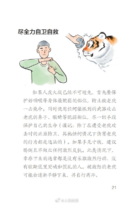 遇到老虎怎么办？东北虎豹国家公园来科普了