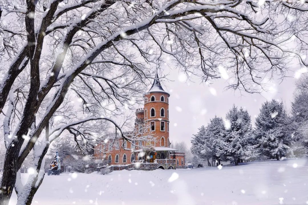 今冬为啥没那么冷?何时能下场酣畅淋漓的大雪?哈市气象专家解读—— 今冬为啥没那么冷?何时能下场酣畅淋漓的大雪?哈市气象专家解读——