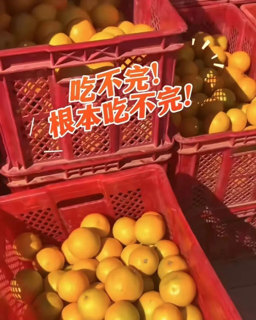 吃不完，根本吃不完！网友：俺也想要