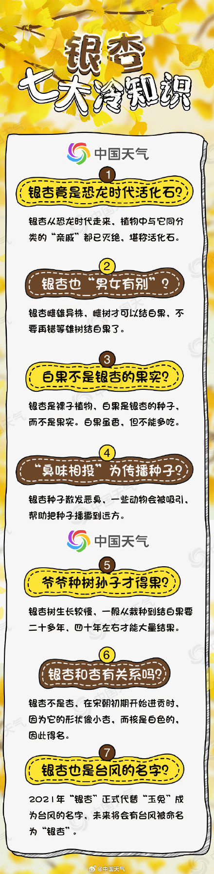 多地银杏叶迎来颜值巅峰