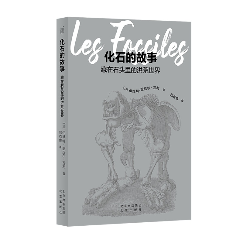 每周新书新作 | 冉冉晨雾重,晖晖冬日微 每周新书新作 | 冉冉晨雾重,晖晖冬日微