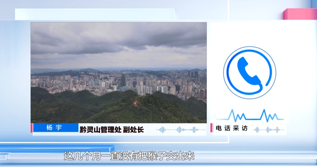 女子在贵阳黔灵公园捡到受伤小猴，养了半年后麻烦不断……相关部门：已涉嫌违法