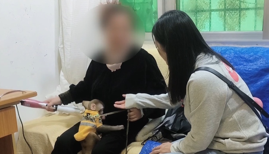 女子在贵阳黔灵公园捡到受伤小猴，养了半年后麻烦不断……相关部门：已涉嫌违法