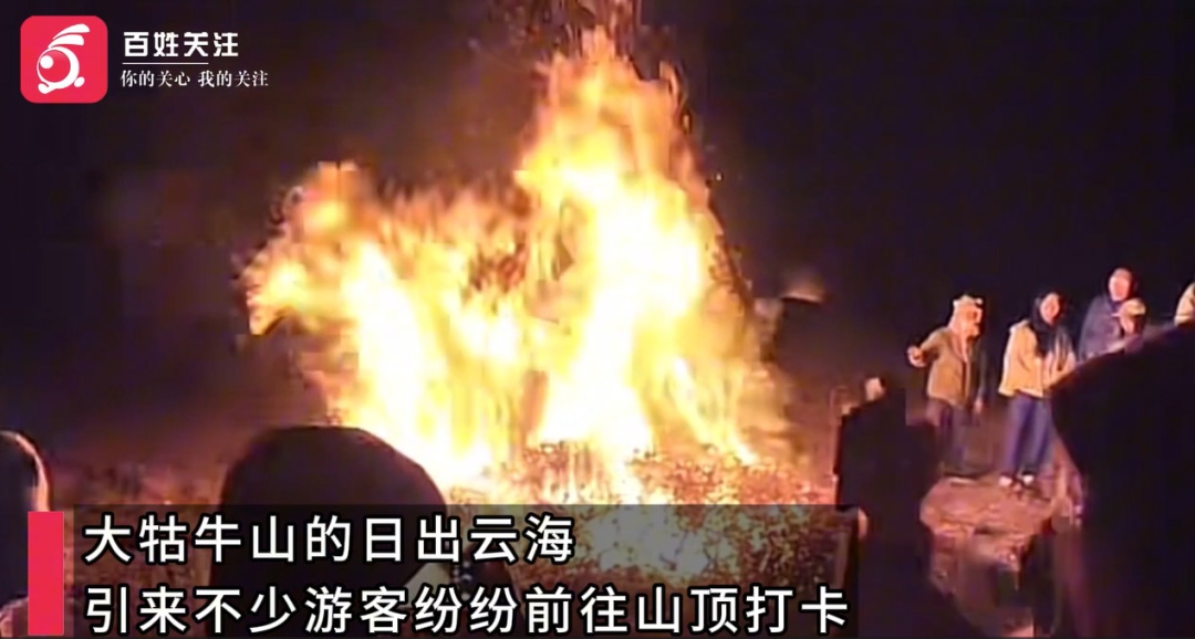 游客登山打卡日出，竟然烧山取暖？当地居民：很心疼！