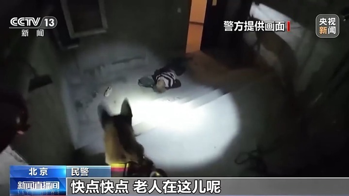 老人走失20多小时成功找回 “汪汪队”立大功! 老人走失20多小时成功找回 “汪汪队”立大功!