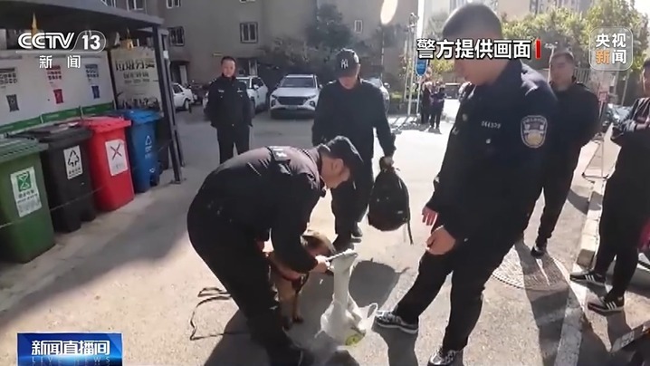 老人走失20多小时成功找回 “汪汪队”立大功! 老人走失20多小时成功找回 “汪汪队”立大功!