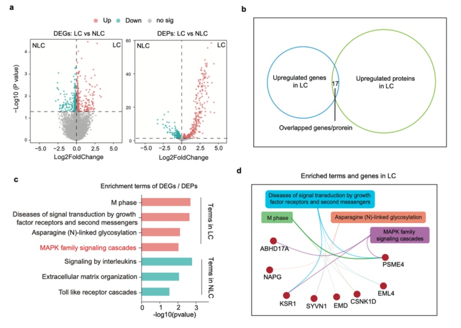 张文宏最新发声！事关长新冠