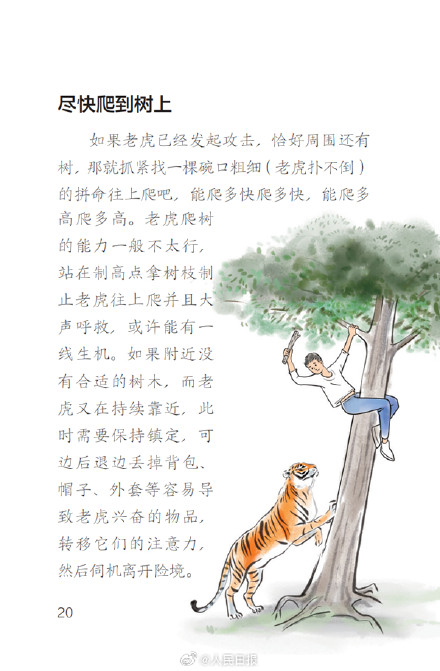 遇到老虎怎么办？东北虎豹国家公园来科普了