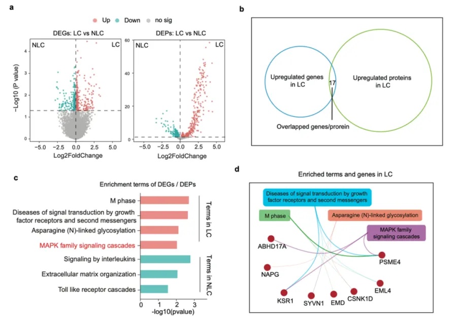 事关长新冠，张文宏团队有新发现！这些传染病近期高发，有人烧到怀疑人生
