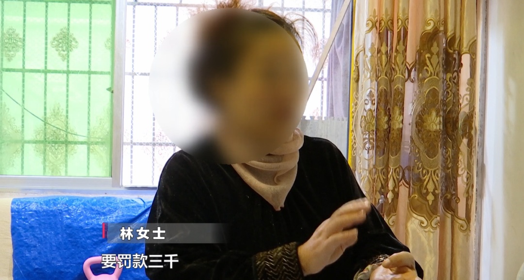 女子在贵阳黔灵公园捡到受伤小猴，养了半年后麻烦不断……相关部门：已涉嫌违法
