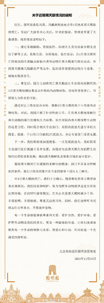 圆明园4只黑天鹅死亡原因公布 圆明园4只黑天鹅死亡原因公布