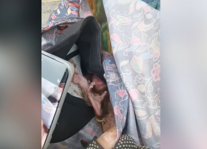 女子在贵阳黔灵公园捡到受伤小猴，养了半年后麻烦不断……相关部门：已涉嫌违法