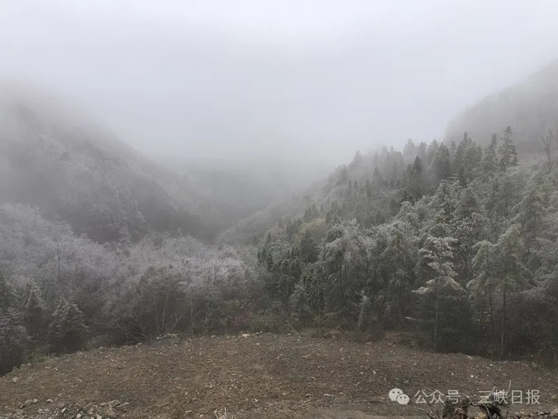 湖北又下雪了！