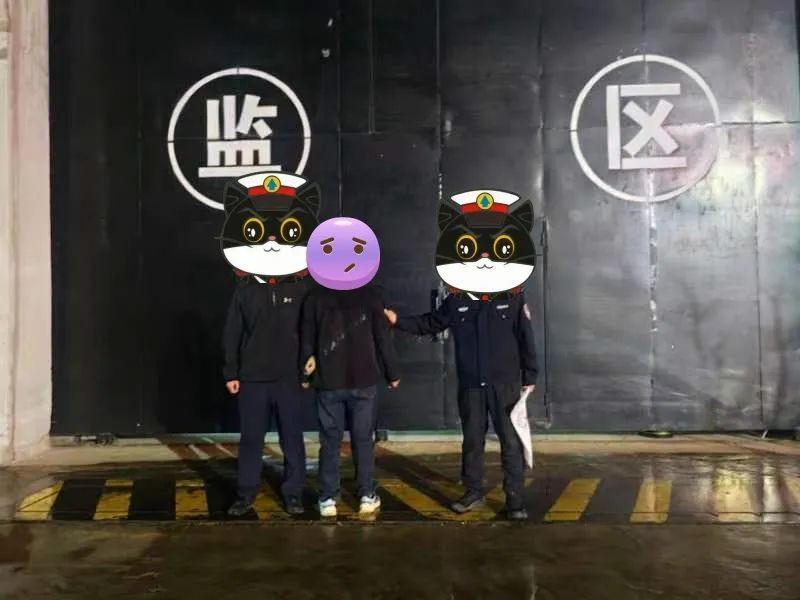 “王一博”通缉自己，结局如他所愿→