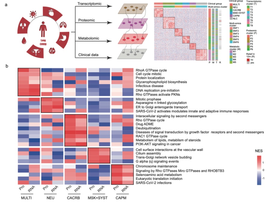 张文宏最新发声！事关长新冠