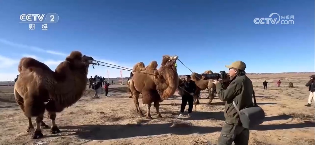 让“冰天雪地”变“金山银山” 创业新力量助推冰雪经济蓬勃发展