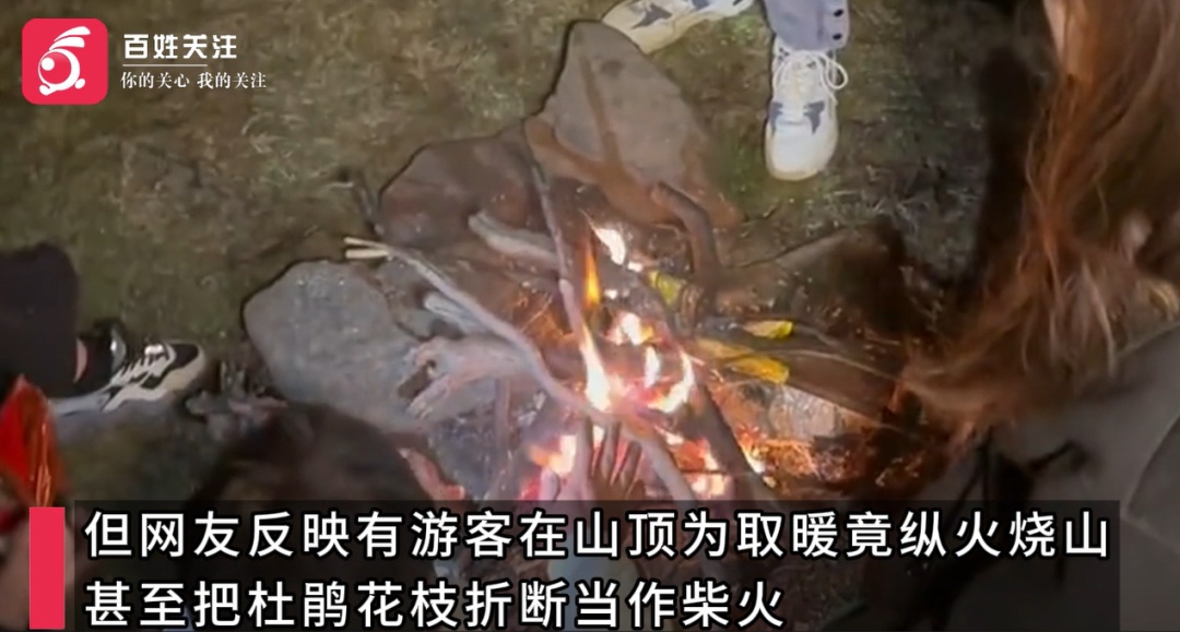 游客登山打卡日出，竟然烧山取暖？当地居民：很心疼！