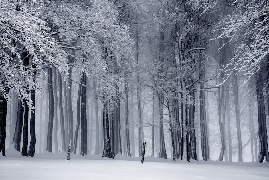 西安降温至-5℃！强冷空气来袭；新一轮雨雪时段就在→