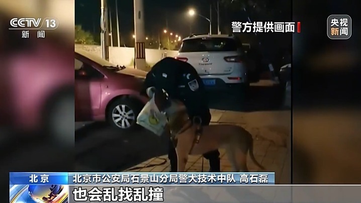 老人走失20多小时成功找回 “汪汪队”立大功! 老人走失20多小时成功找回 “汪汪队”立大功!