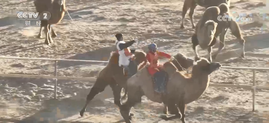 让“冰天雪地”变“金山银山” 创业新力量助推冰雪经济蓬勃发展