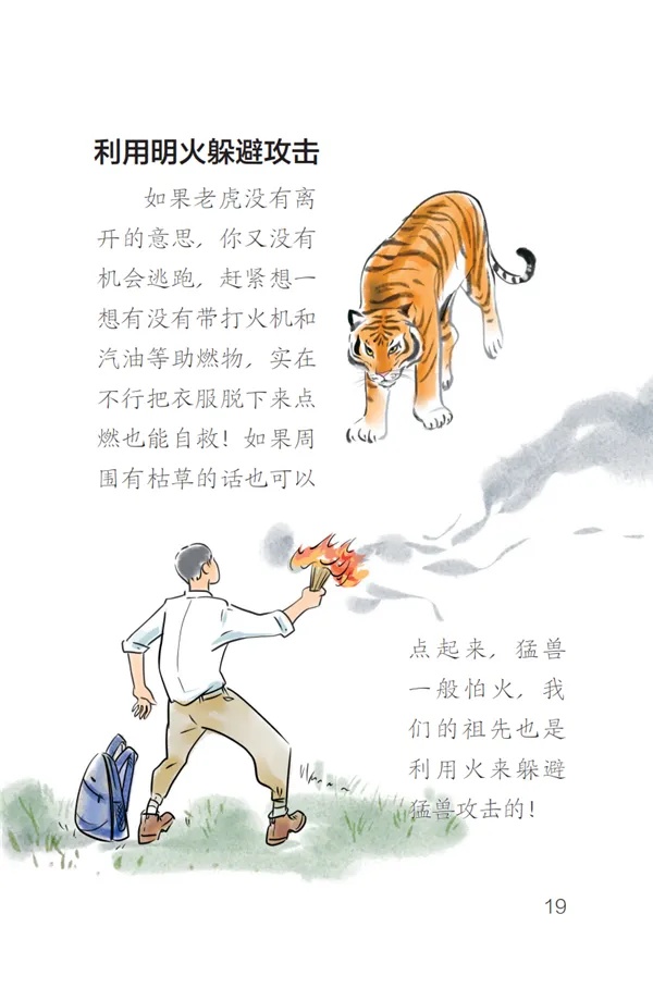 如确为野生虎伤人怎么办？东北虎豹国家公园回应